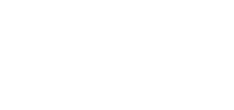 IECSS Logo